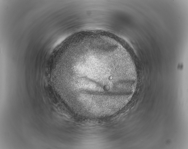 X0000091450871200709061733