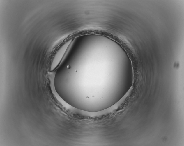 X0000091450872200709061733