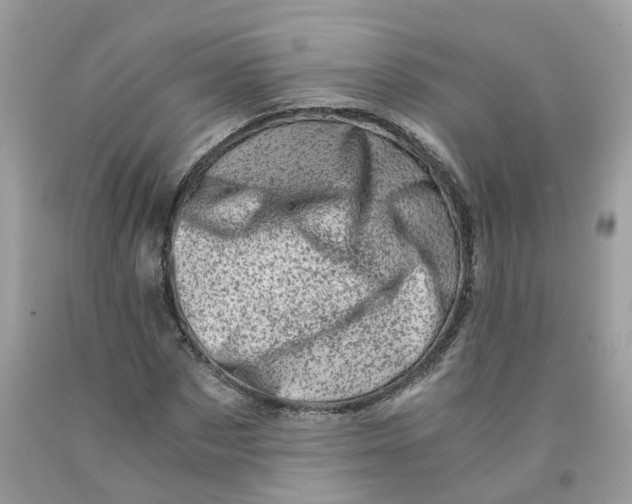 X0000091450873200709061733