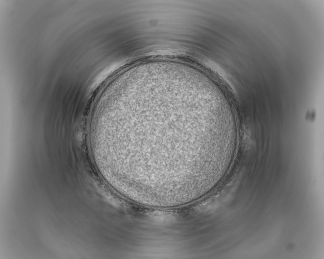 X0000091450874200709061733