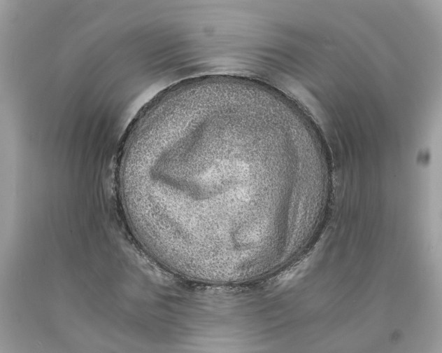 X0000091450875200709061733