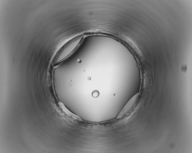 X0000091450876200709061733