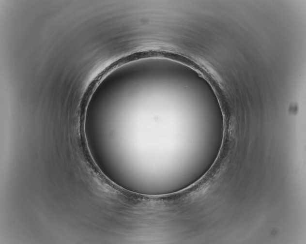 X0000091450877200709061733