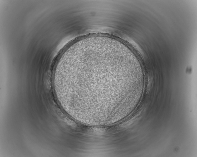 X0000091450878200709061733