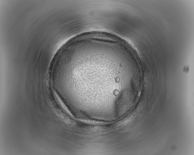 X0000091450879200709061733