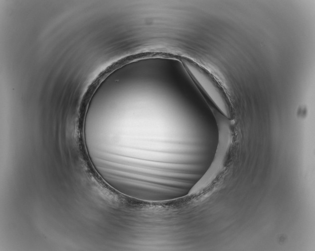 X0000091450880200709061733