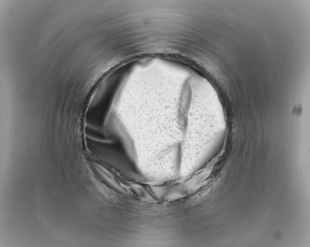 X0000091450881200709061733