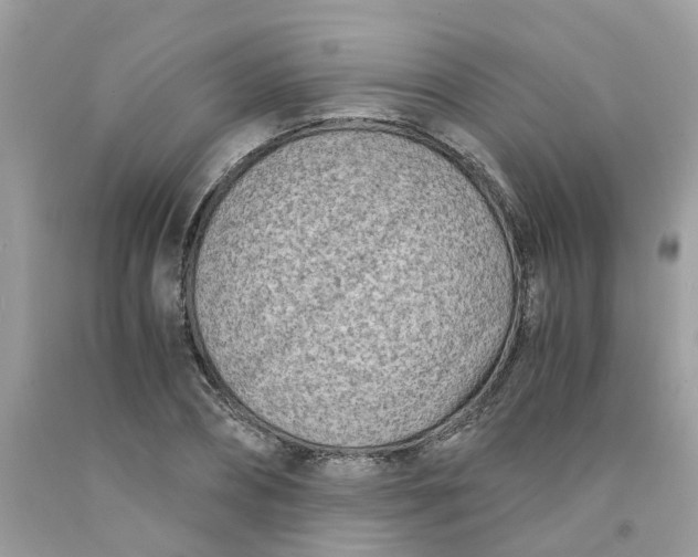 X0000091450882200709061733