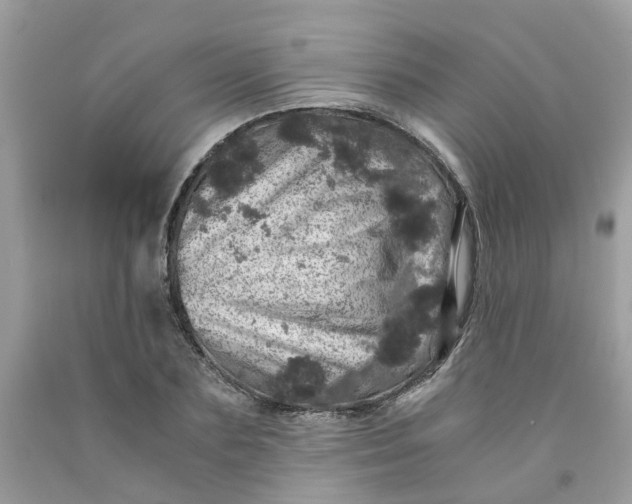 X0000091450883200709061733