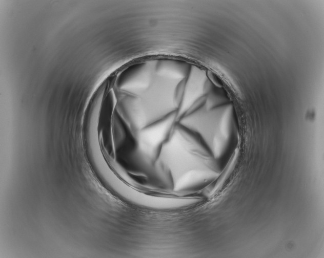 X0000091450884200709061733