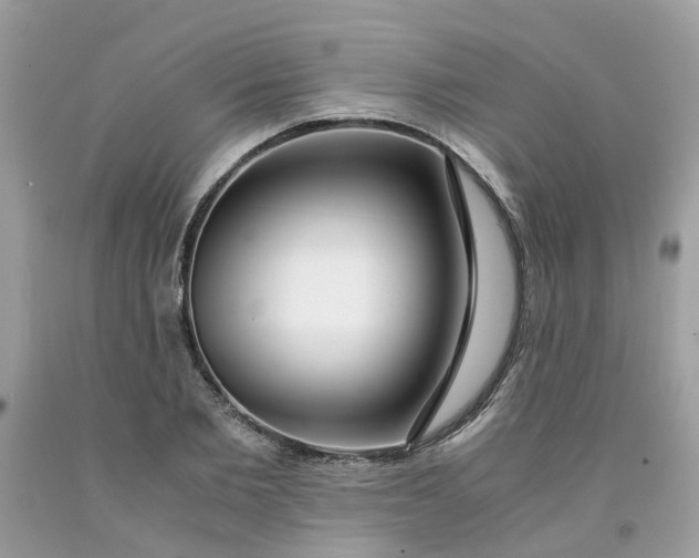 X0000091450885200709061733