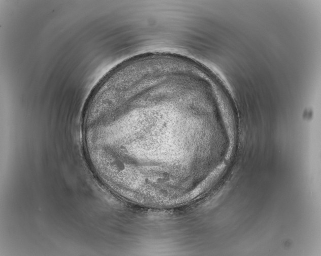 X0000091450887200709061733