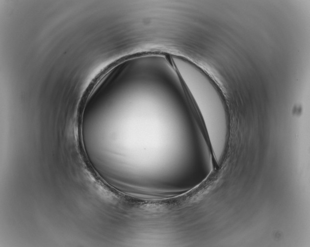 X0000091450888200709061733