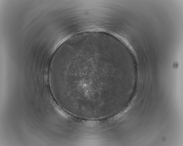 X0000091450889200709061733