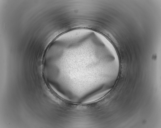 X0000091450890200709061733