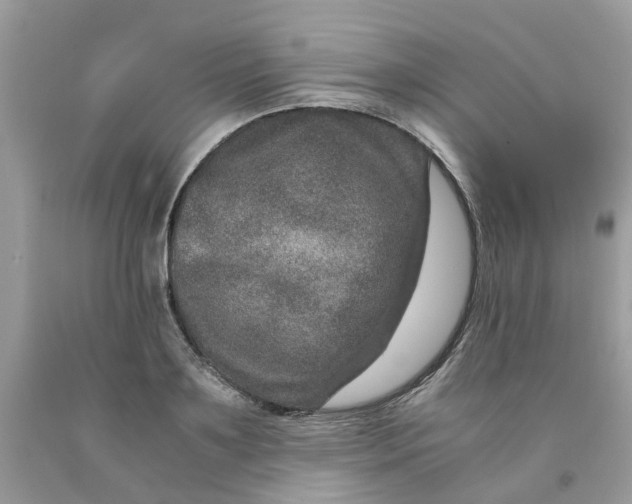 X0000091450891200709061733