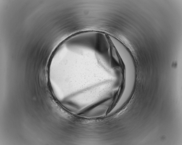 X0000091450892200709061733