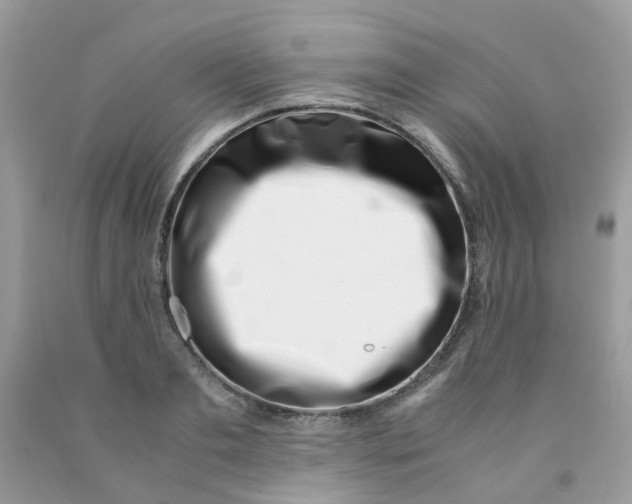 X0000091450893200709061732