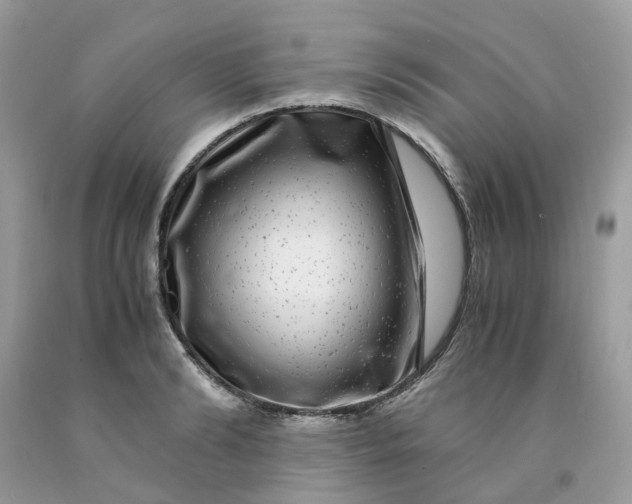 X0000091450894200709061732