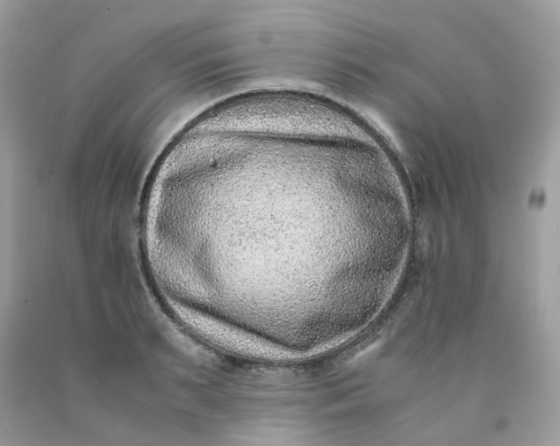 X0000091450895200709061732