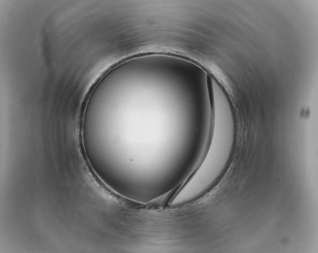 X0000091450896200709061732