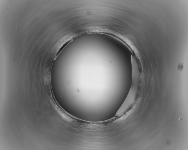 X0000091450897200709061732