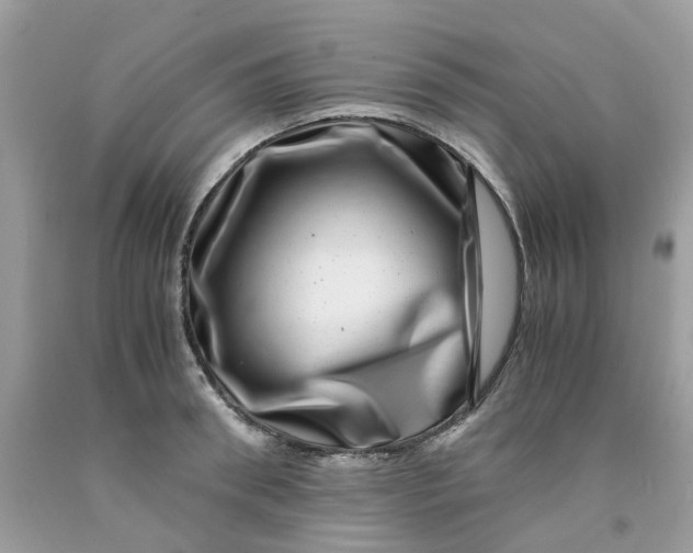 X0000091450898200709061732