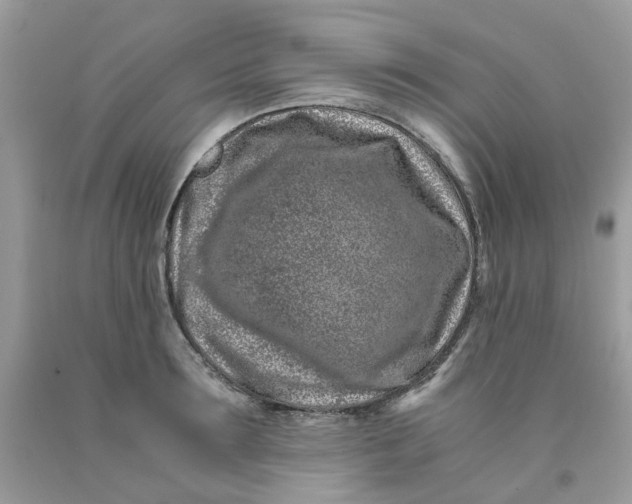 X0000091450899200709061732