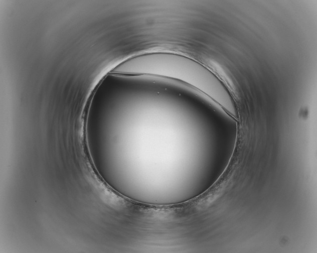 X0000091450900200709061732