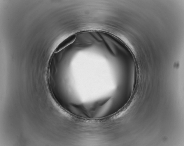 X0000091450901200709061732