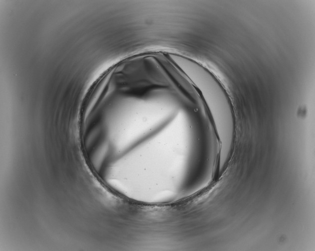 X0000091450902200709061732