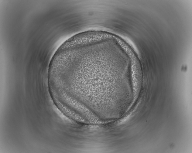 X0000091450903200709061732