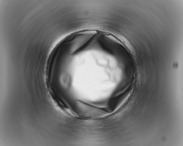 X0000091450904200709061732