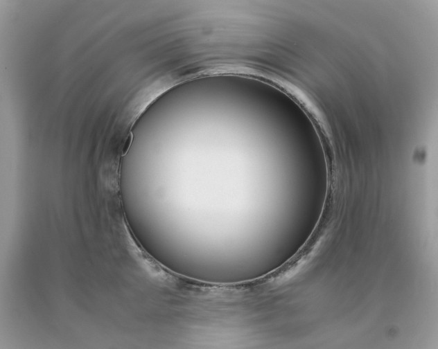 X0000091450905200709061732