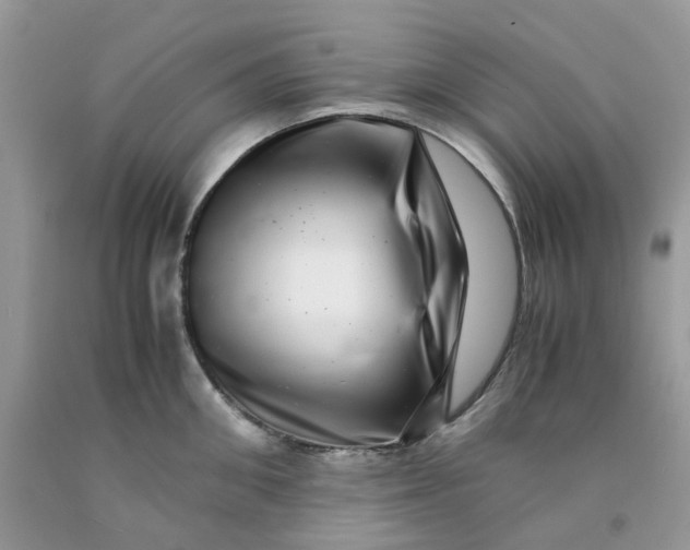 X0000091450906200709061732