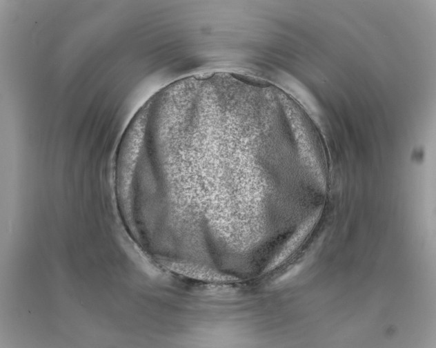 X0000091450907200709061732