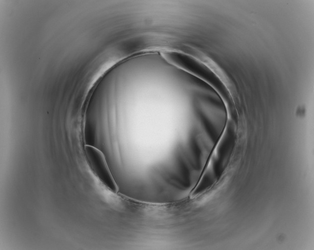 X0000091450909200709061732