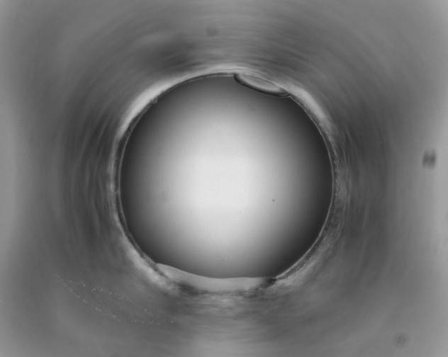 X0000091450910200709061732