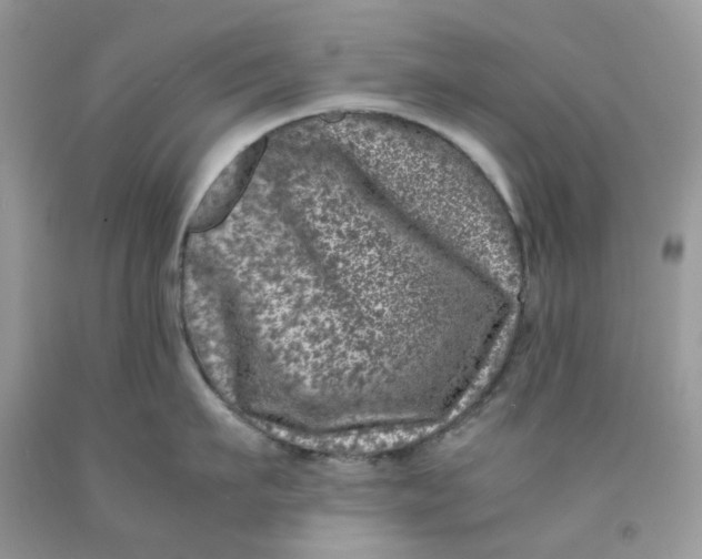 X0000091450911200709061732