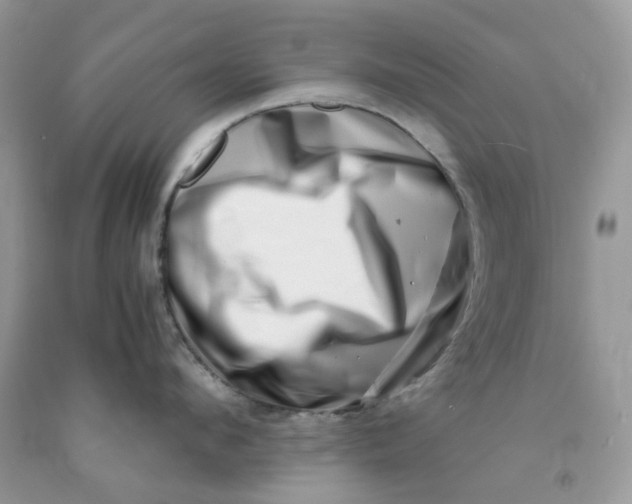 X0000091450912200709061732