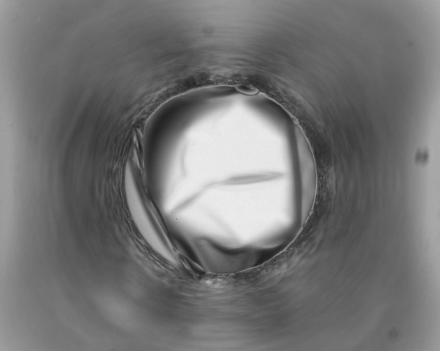 X0000091450914200709061731