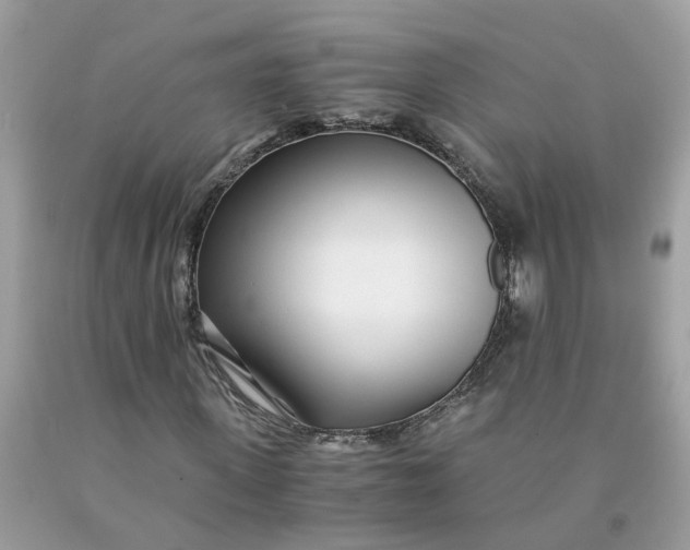 X0000091450915200709061731