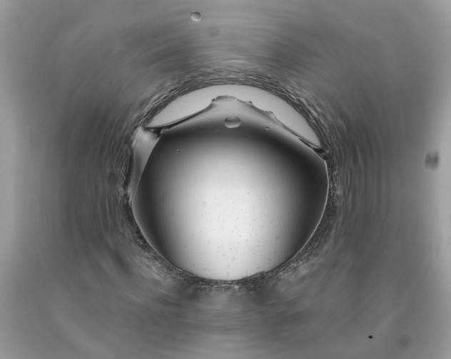 X0000091450916200709061731