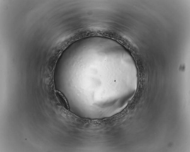 X0000091450917200709061731