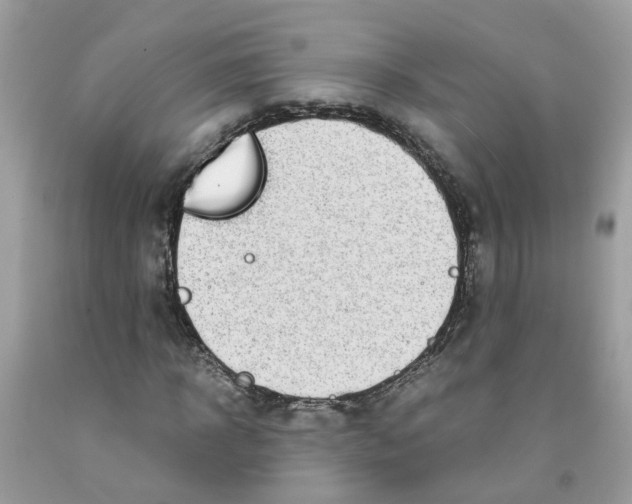 X0000091450918200709061731