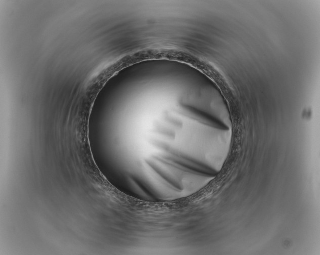 X0000091450919200709061731