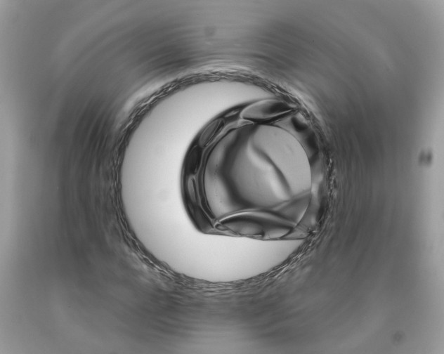 X0000091450920200709061731