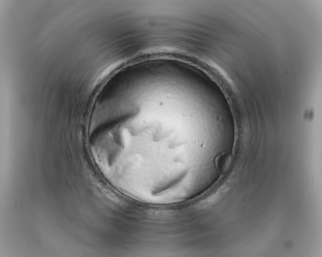 X0000091450921200709061731