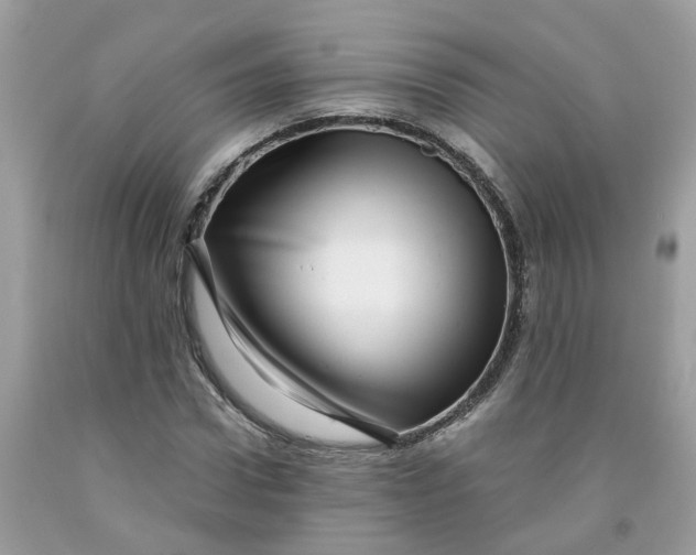 X0000091450922200709061731