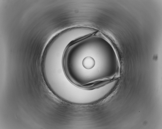 X0000091450924200709061731